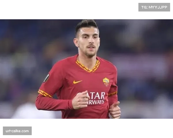 深度分析:美国资本持续入主,对意甲俱乐部经营模式的影响 深度分析:美国资本持续入主,对意甲俱乐部经营模式的影响